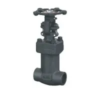 Bolted Bonnet Bellows Seal Globe Valves